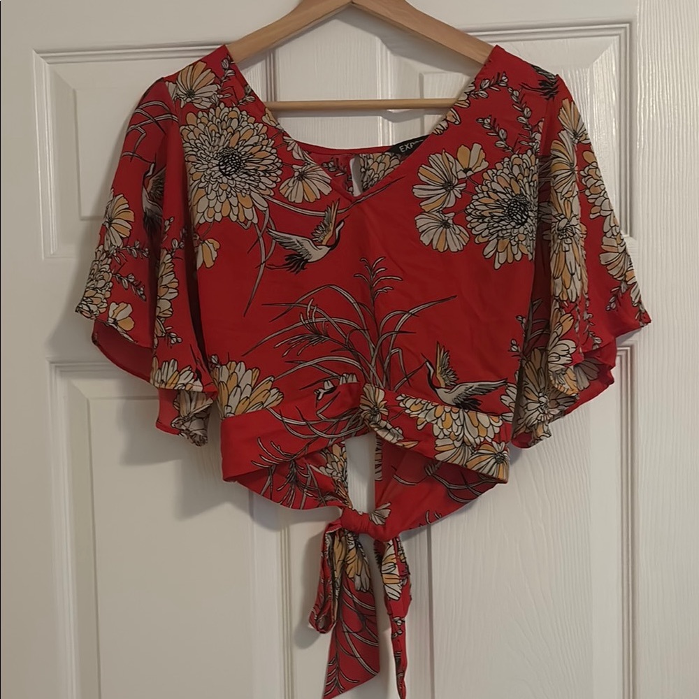 Express Red Flutter Sleeve Crop Blouse
